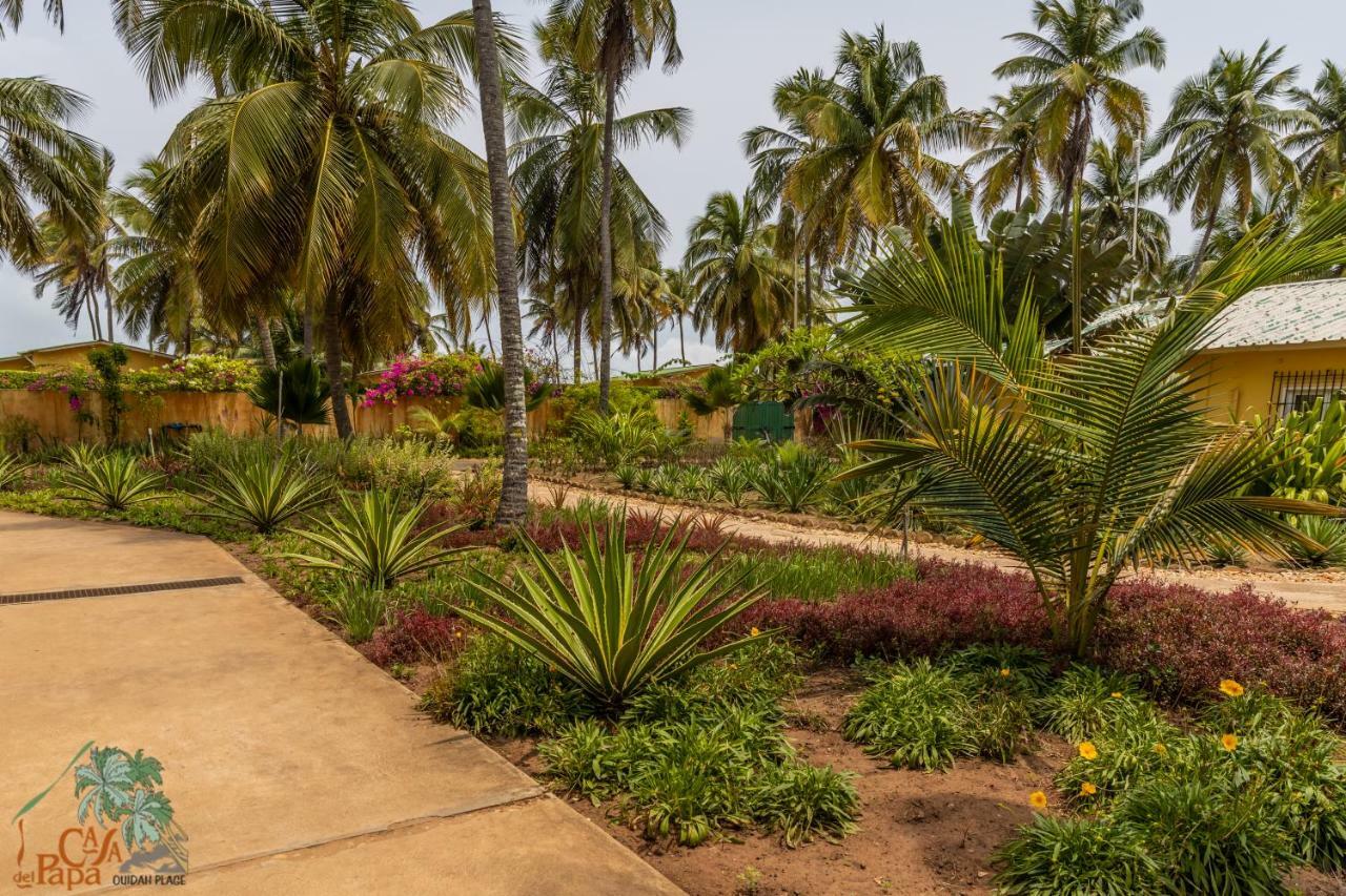 Casa Del Papa Resort & Spa Azizacoue Exterior photo